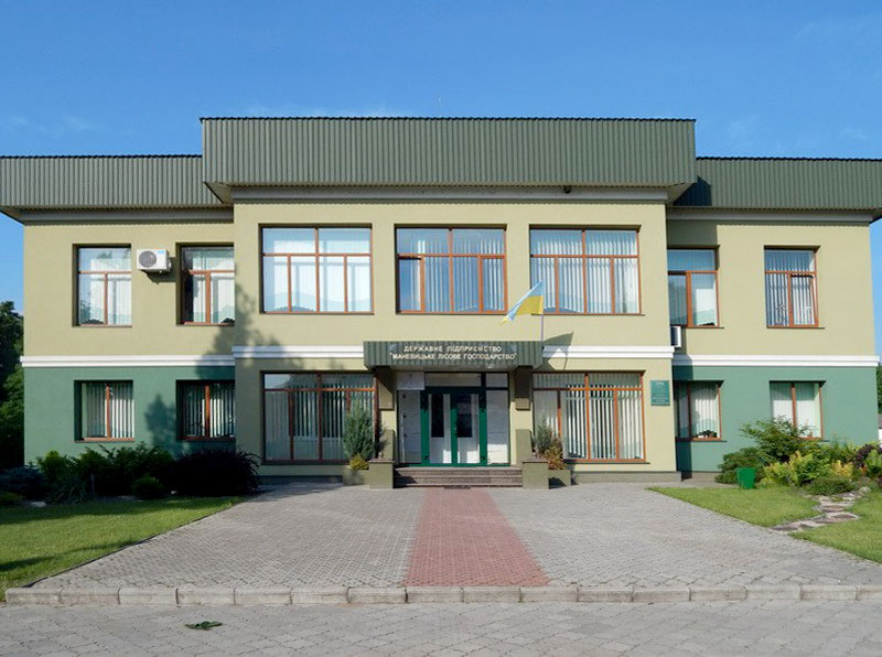 Маневичі